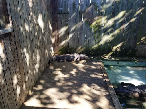 Zoo «Luray Zoo A Rescue Zoo», reviews and photos, 1087 U.S. 211, Luray, VA 22835, USA