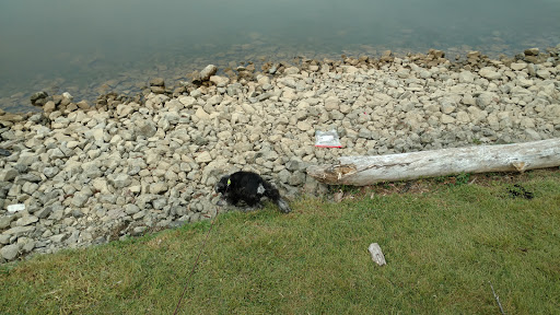 Campground «Defeated Creek Campground», reviews and photos, 140 Marina Ln, Defeated, TN 37030, USA