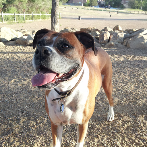 Dog Park «Grandview Dog Park», reviews and photos, 17500 E Quincy Ave, Aurora, CO 80015, USA