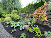 Lacewing - Fine Gardening and Botanical Design - Photo 4 - Car repair in , Seattle