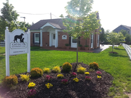 Conway Susan DVM image