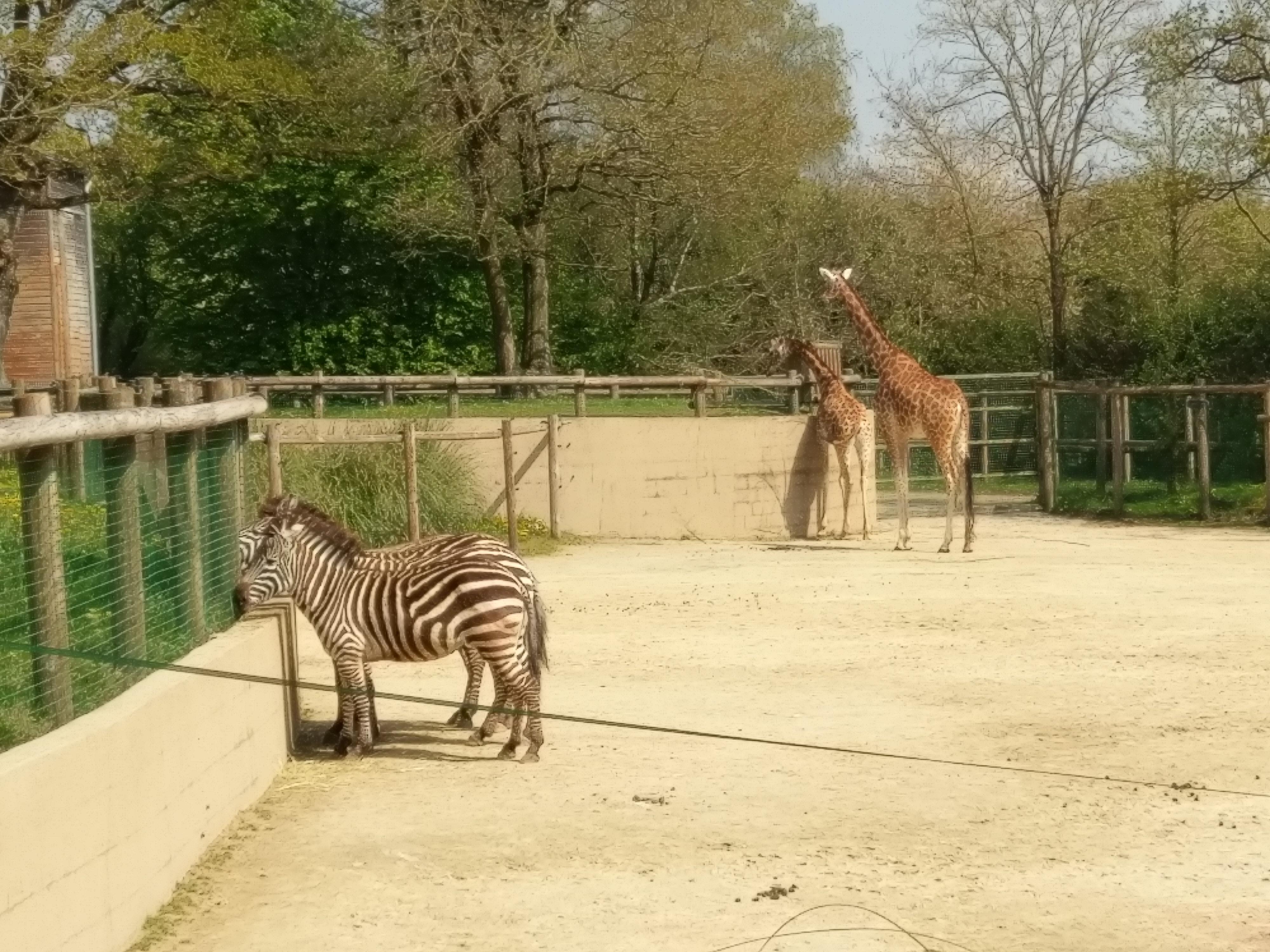 Photo n° 6 de l'avis de Dominique.A fait le 23/04/2019 à 22:31
