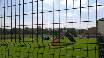 Toutousports à Kœnigsmacker