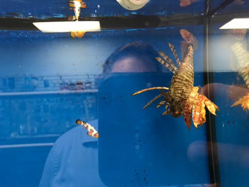 Aquarium «Aquarium Specialties & Research Center», reviews and photos, 235 Lancaster Ave, Malvern, PA 19355, USA