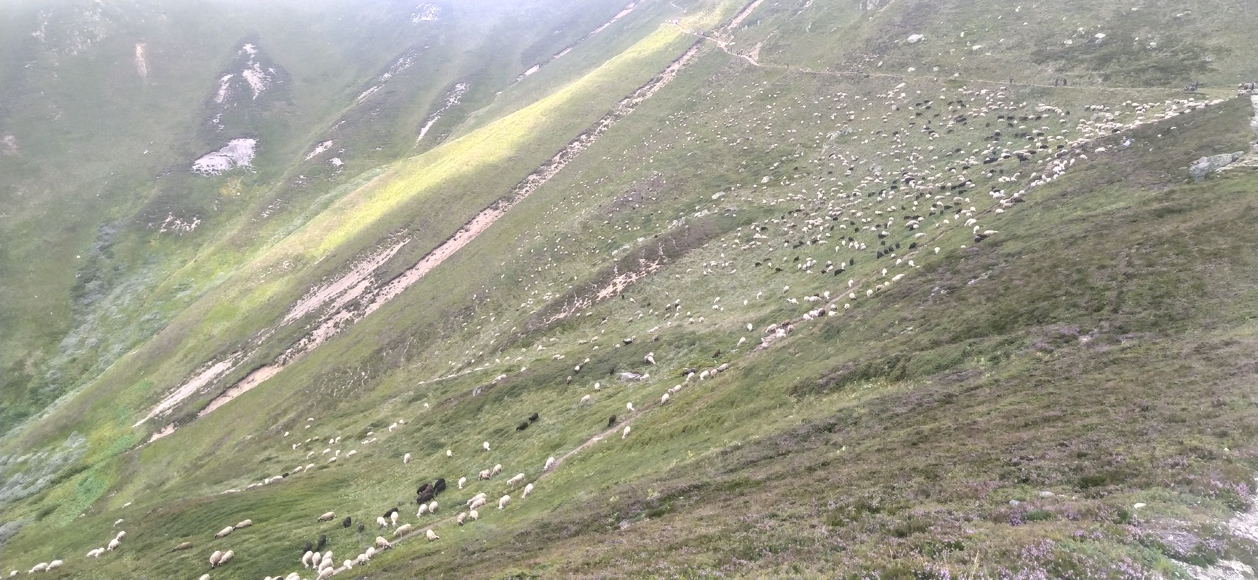 Photo n° 2 de l'avis de nainain.2 fait le 30/08/2021 à 16:30