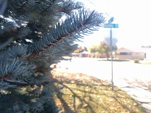 Lanyon Park - photo 69