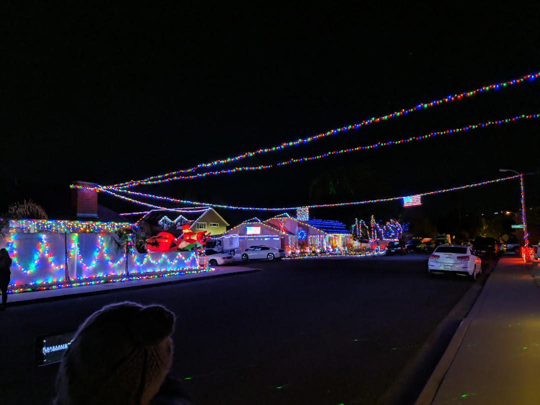 Gemini Ave Neighborhood Christmas Lights