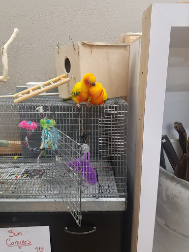 Pet Store «A to Z Pets», reviews and photos, 16010 SE Division St, Portland, OR 97236, USA