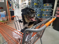The Home Depot - Photo 9 - Car repair in Huntington Beach, CA, Huntington Beach