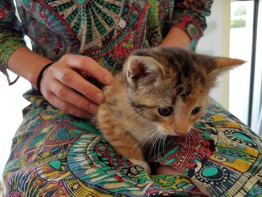 Pet Supply Store «Pet Supplies Plus», reviews and photos, 1258 Northlake Blvd, Lake Park, FL 33403, USA