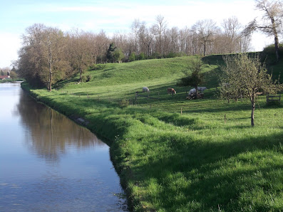 Vente Directe de viande bovine Charolaise La Grange Blanche, 42720 Briennon, France