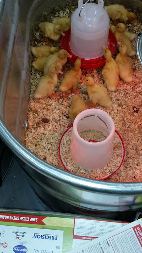 Home Improvement Store «Tractor Supply Company», reviews and photos, 61 Tower Dr, Middletown, NY 10941, USA