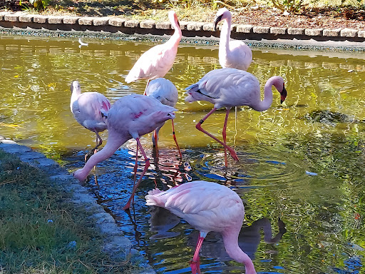 Zoo «ZooWorld Zoological and Botanical Conservatory», reviews and photos, 9008 Front Beach Rd, Panama City Beach, FL 32407, USA