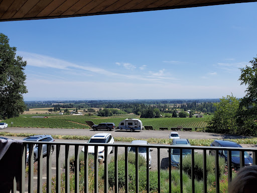 Winery «Sokol Blosser Winery», reviews and photos, 5000 NE Sokol Blosser Ln, Dayton, OR 97114, USA