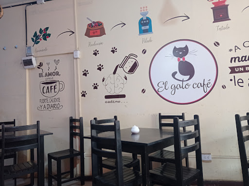 El Gato Café