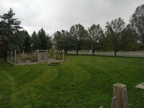 Forest Green Lawn & Landscaping, LLC - Photo 5 - Car repair in , Lansing