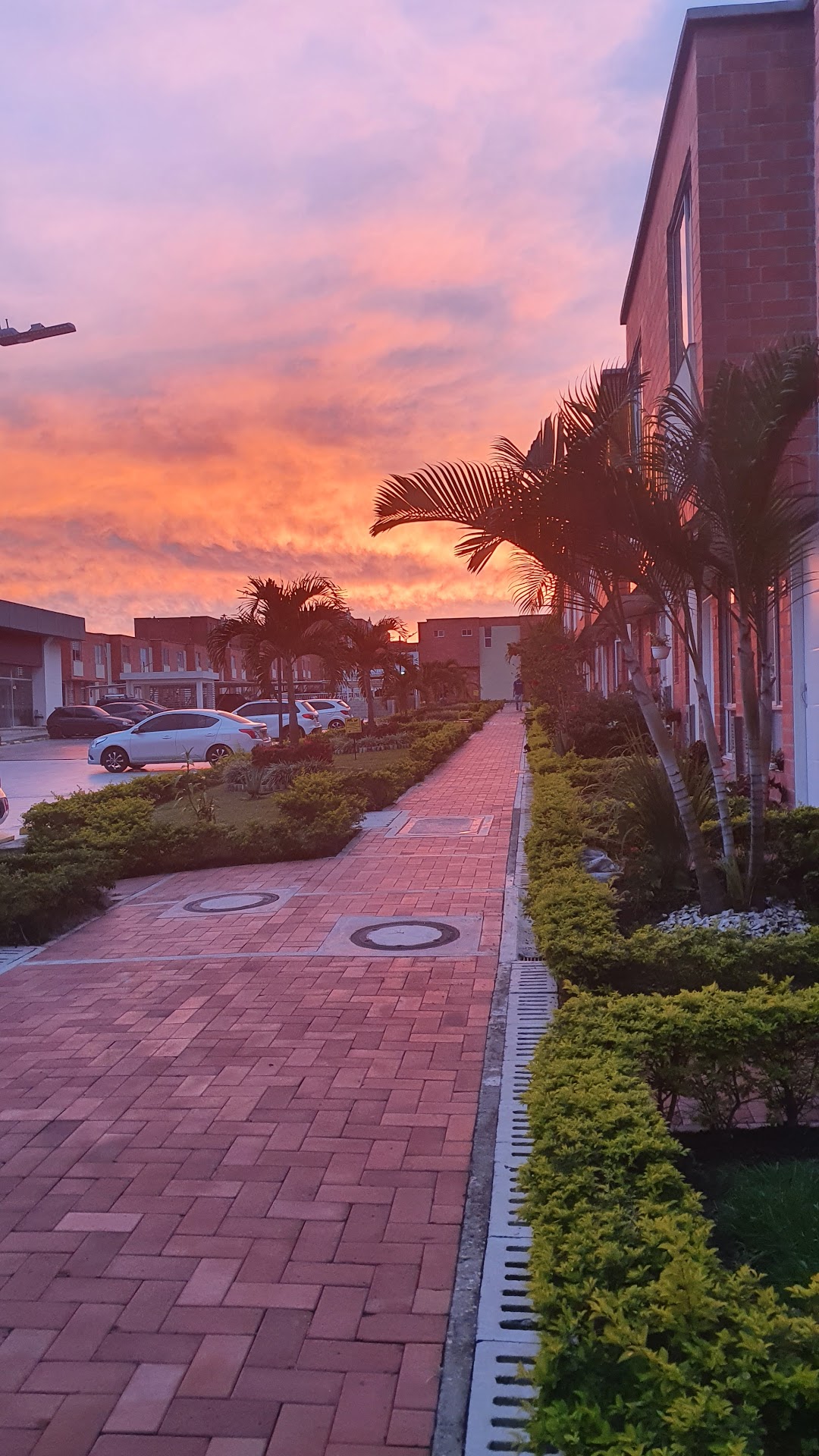 Torreon Quinta Avenida Etapa II