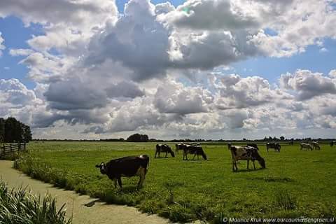 Kamperen op Berkenwoude