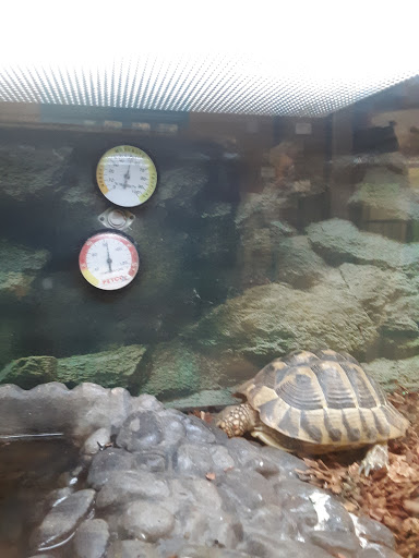 Pet Supply Store «Petco Animal Supplies», reviews and photos, 320 S Lycoming Mall Rd, Muncy, PA 17756, USA