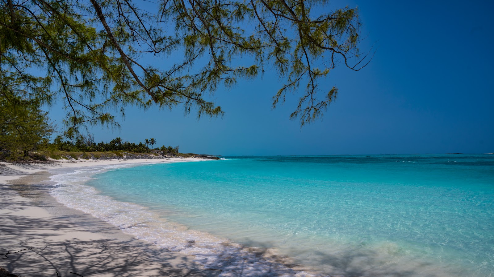 Foto de Forbes Hill beach com areia fina branca superfície