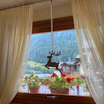 Photo n°3 de l'avis de Me. fait le 24/07/2023 à 09:11 sur le  Residence Hotel Raggio di Luce Resort & Spa - CIR: 017184-RTA-00001 à Loc. Plazza, Ponte di Legno