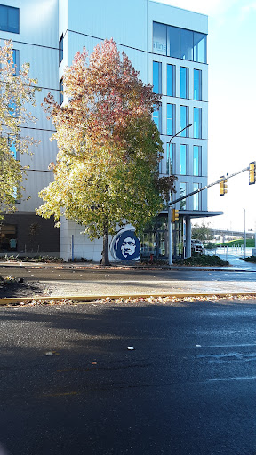 Model Shop «Alaska Airlines Company Store», reviews and photos, 20833 International Blvd, SeaTac, WA 98198, USA