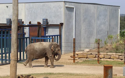 Sydney Zoo image