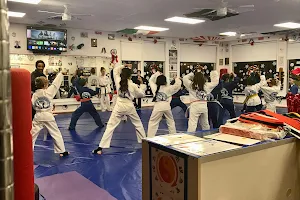 Freestyle Martial Arts Academy image