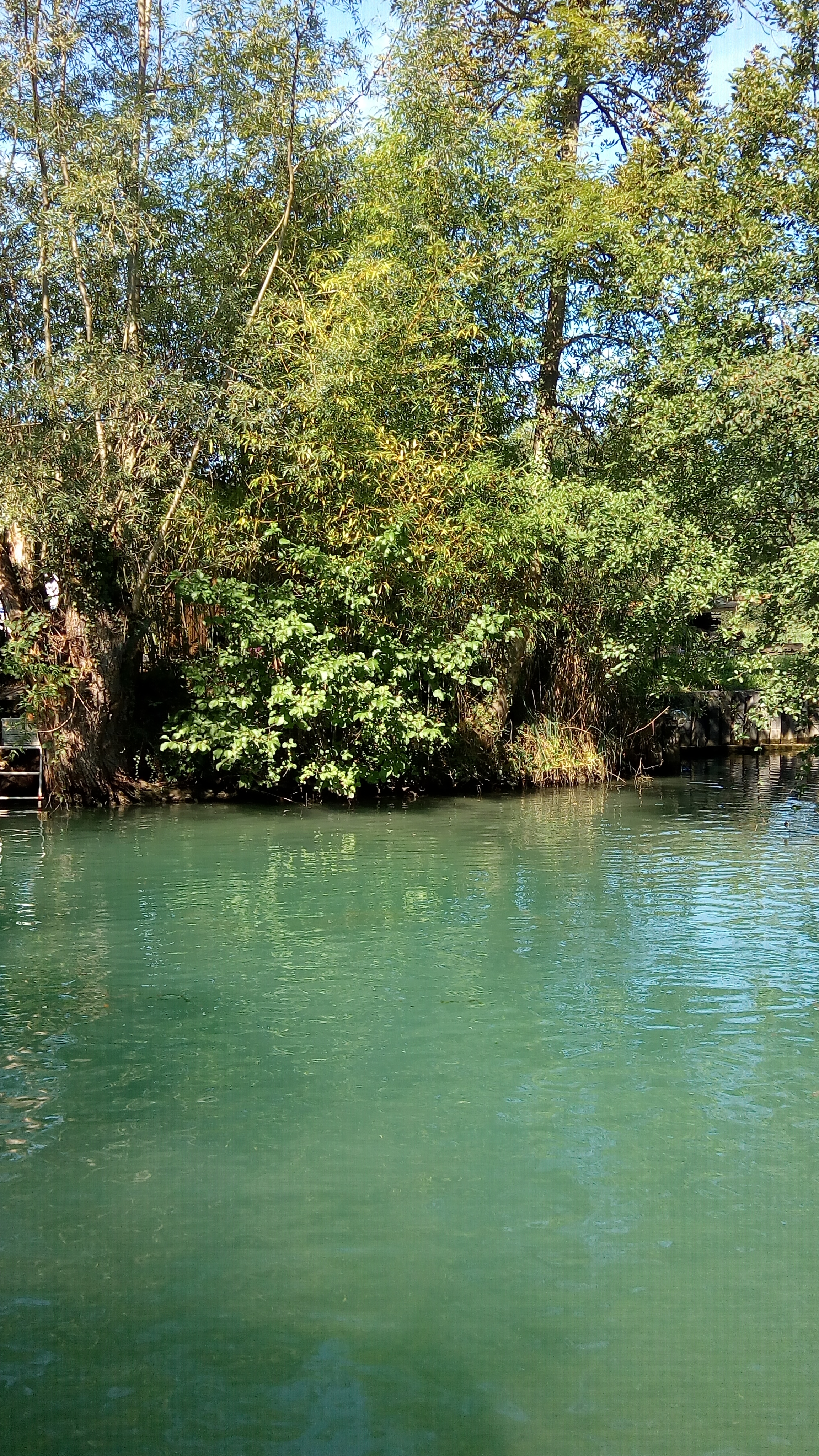 Photo n° 8 de l'avis de Mathieu.o fait le 07/09/2017 à 14:41