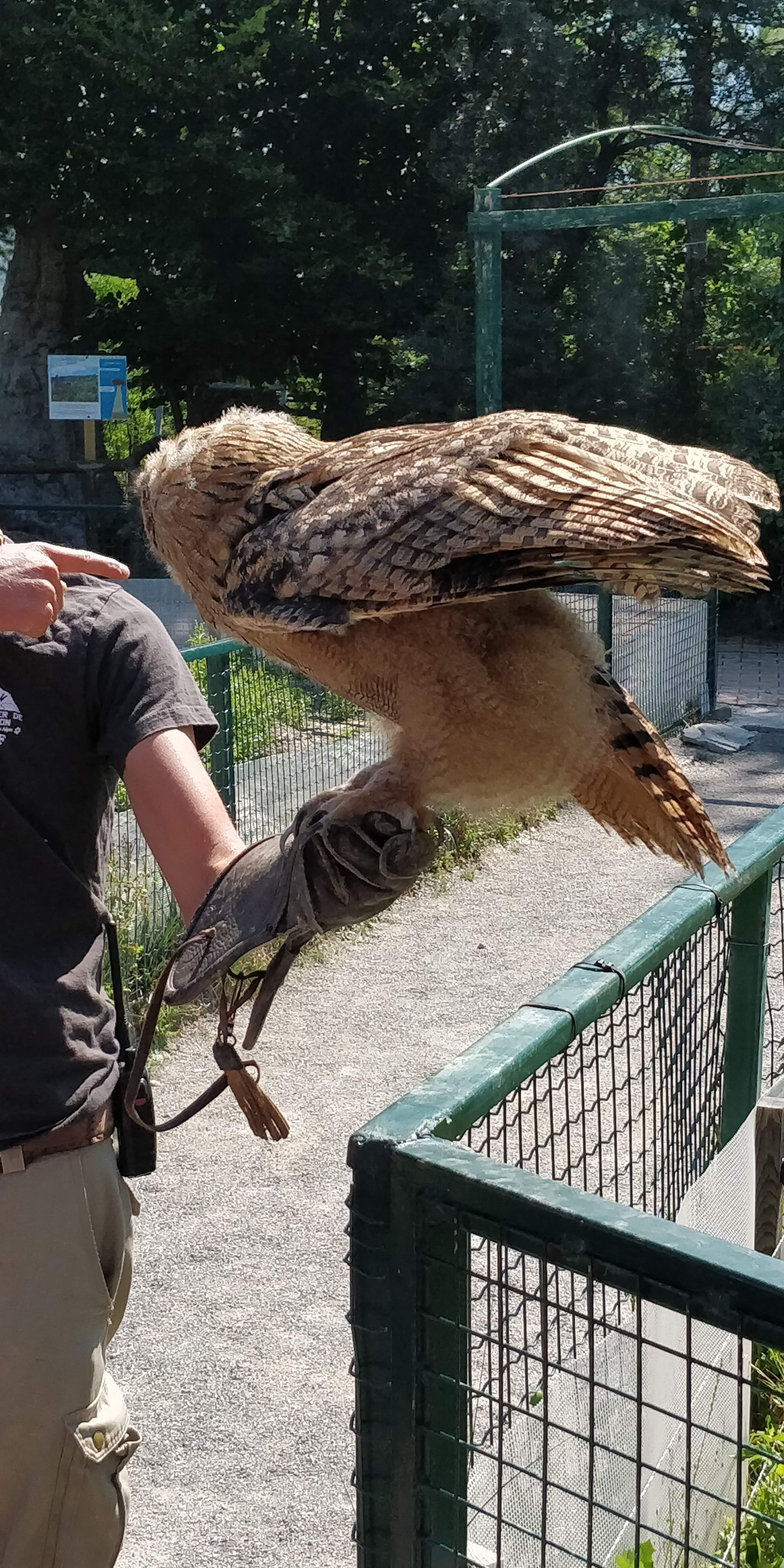 Photo n° 13 de l'avis de Sylvain.e fait le 02/08/2018 à 06:25