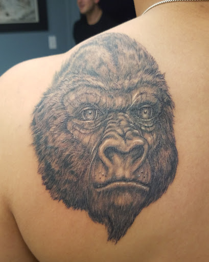 Tattoo Shop «Toucan Tattoo Shop», reviews and photos, 1803 George Washington Memorial Hwy, Gloucester Point, VA 23062, USA