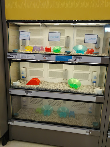 Pet Supply Store «Petco Animal Supplies», reviews and photos, 175 Grandview Blvd #600, Madison, MS 39110, USA