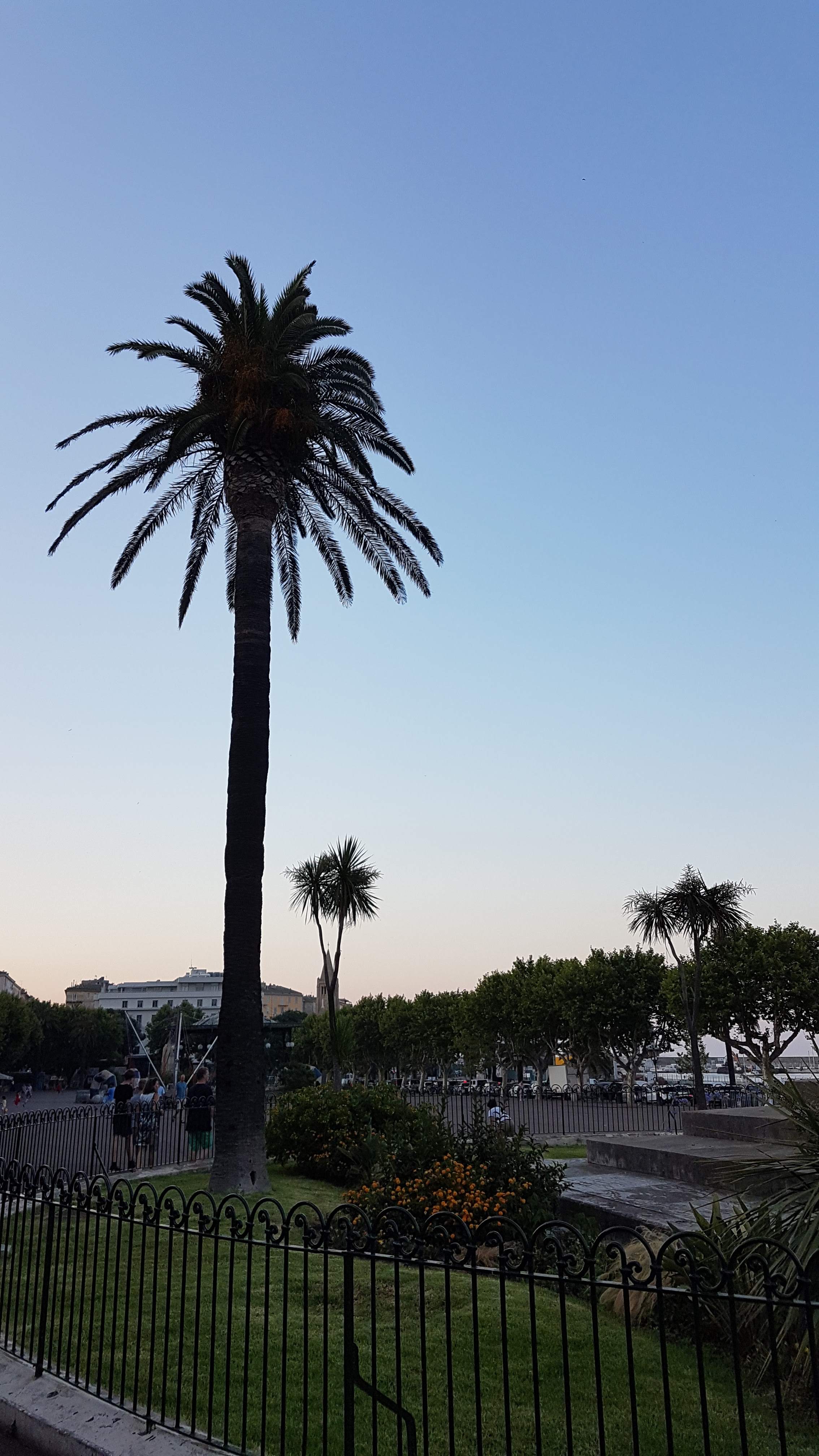 Photo n° 15 de l'avis de sandy.a fait le 08/01/2019 à 11:39