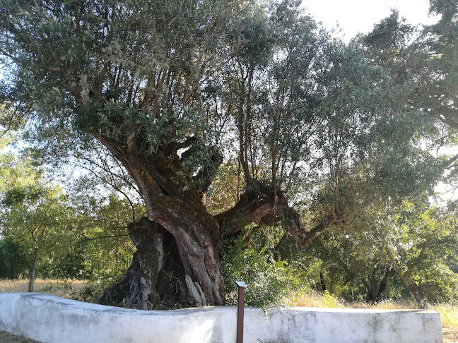 Avaliações doCapela de São Bartolomeu em Abrantes - Igreja