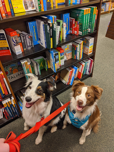 Book Store «Barnes & Noble Booksellers Mansell Crossings SC», reviews and photos, 7660 North Point Pkwy, Alpharetta, GA 30022, USA