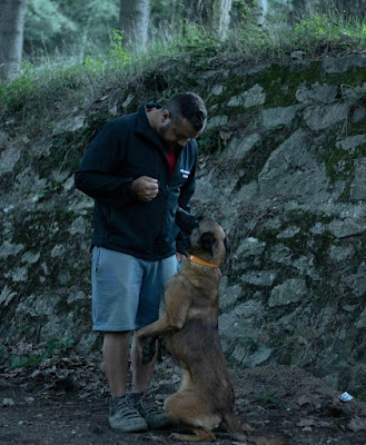 Aubin Galipaud Educateur Canin GPDT-K9 Burdignes à Burdignes