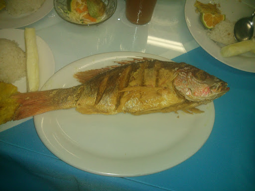 Restaurantes de pescado en Medellin