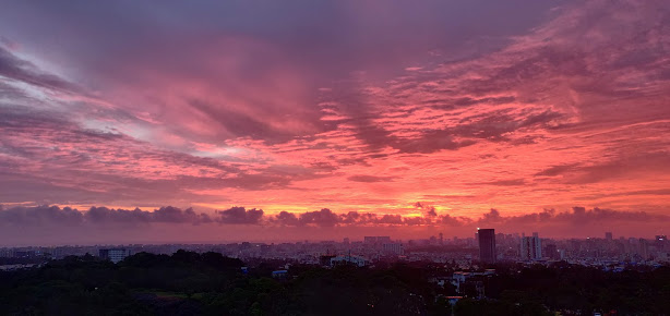 Google Maps image 15