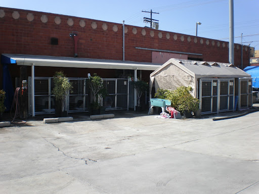 Pet Supply Store «Creative Pet Supply», reviews and photos, 305 N Harbor Blvd, San Pedro, CA 90731, USA