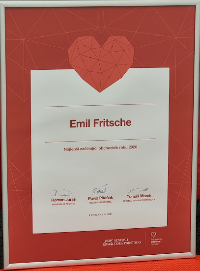 Emil Fritsche - Finanční poradce