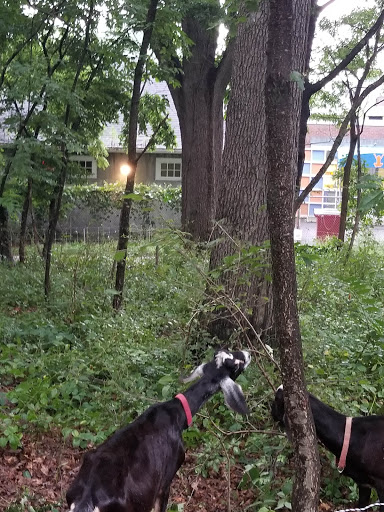 Park «Dorchester Park», reviews and photos, 2180 Dorchester Ave, Dorchester, MA 02124, USA