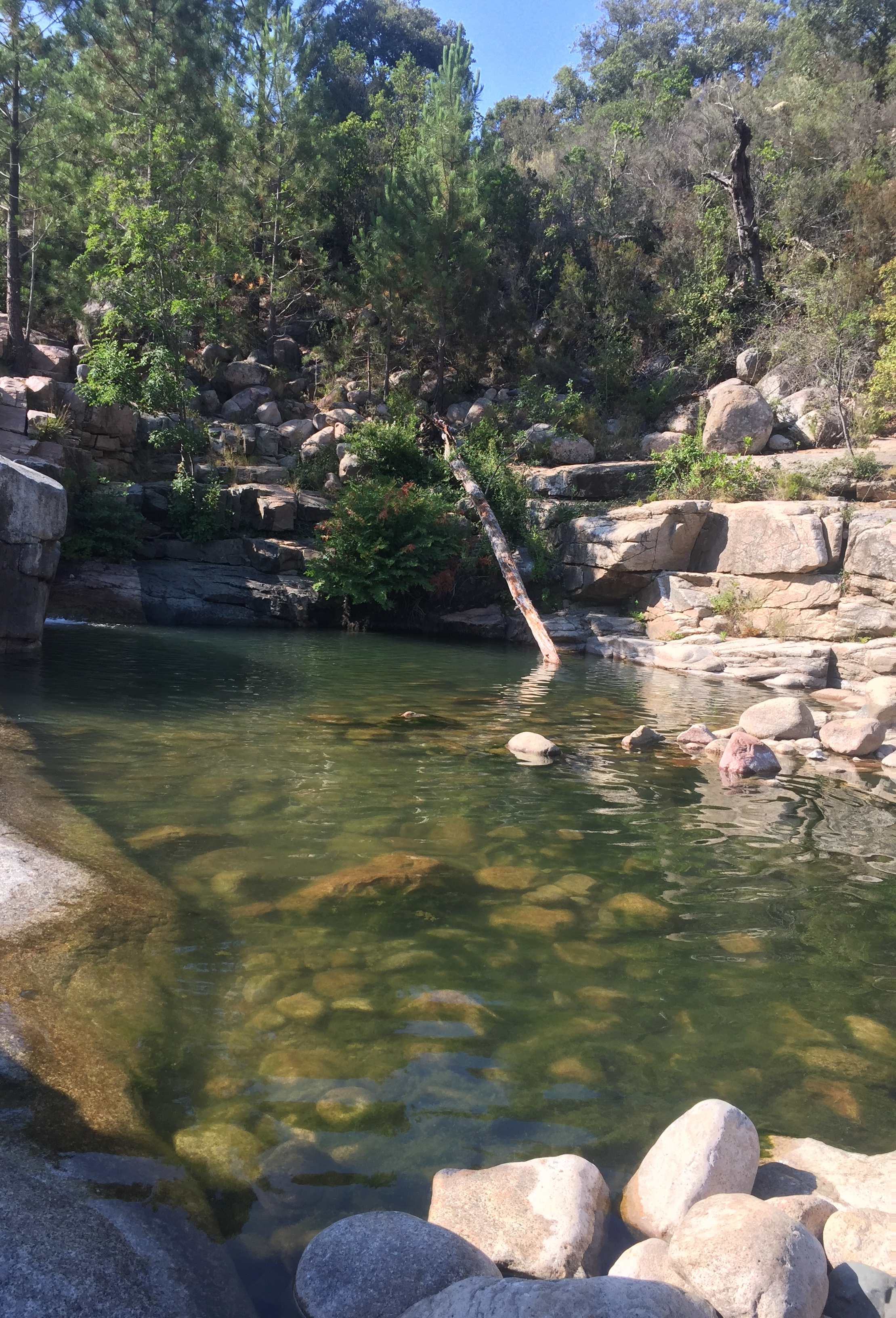 Photo n° 8 de l'avis de Laure.a fait le 31/07/2019 à 12:58