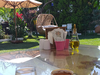 çiftlik evi köy evi