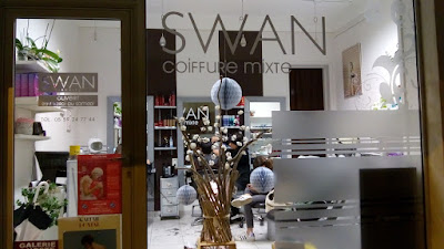 Swan Eurl à Biarritz