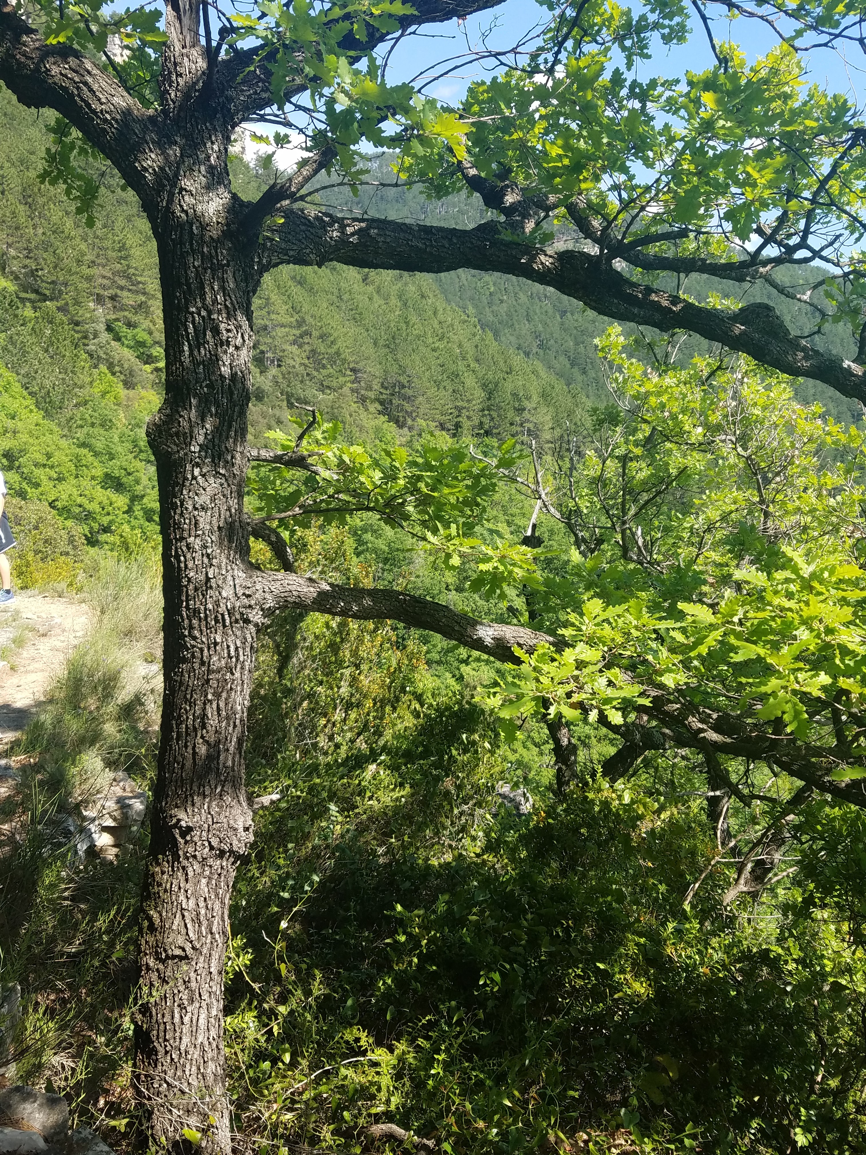 Photo n° 5 de l'avis de L. fait le 21/05/2018 à 21:17