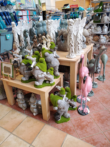 Department Store «Bealls Department Stores», reviews and photos, 2612 Enterprise Rd, Orange City, FL 32763, USA