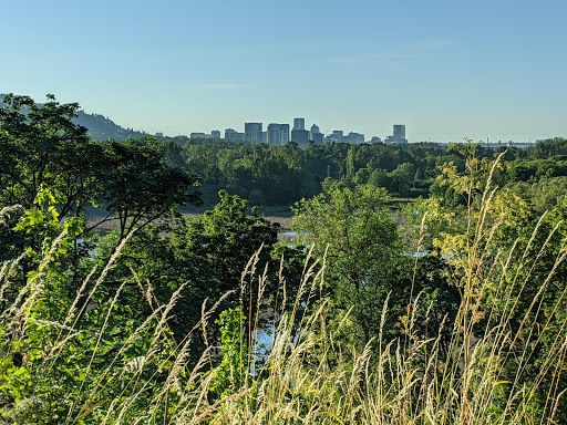 Park «Sellwood Park», reviews and photos, SE Miller St & SE 7th Ave, Portland, OR 97202, USA