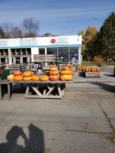 Locally Grown Gardens, 1050 E 54th St, Indianapolis, IN 46220, USA, 