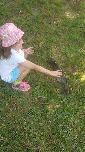 Fishing Store «Indian Creek Fishing & Fire Arms», reviews and photos, 3479 Mango Dr, Danielsville, PA 18038, USA