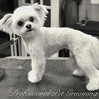 Professional Pet Grooming & Dog Wash